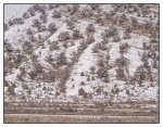 Photo of Hillside covered with snow turning to trees